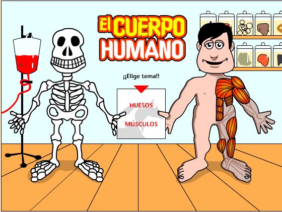 El cuerpo humano - los huesos y musculos: кістки і м'язи