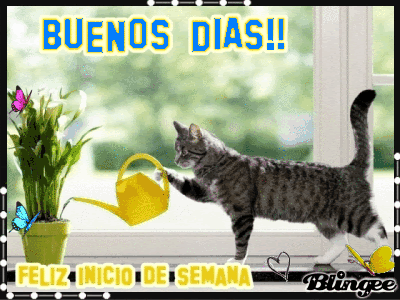 Buenos dias - киця підливає вазон, анімовані листівки Доброго ранку іспанською